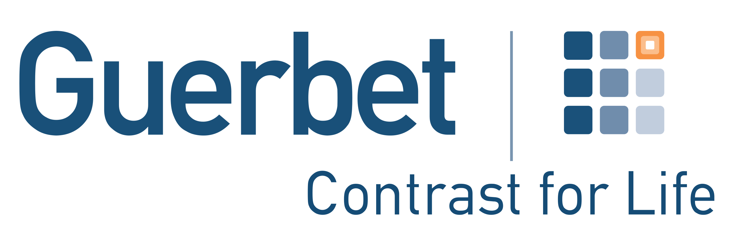 Guerbet-logo.svg
